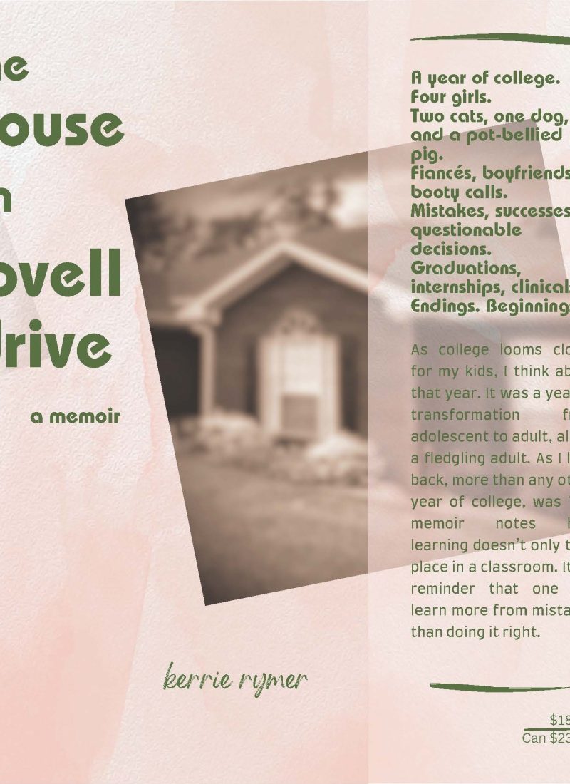 Image of front cover of a book jacket