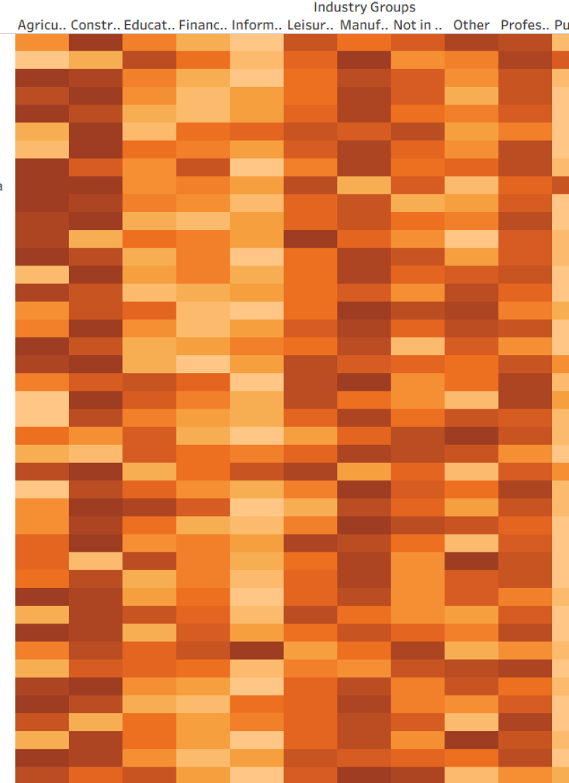Info Viz cover shot